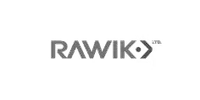 Professional Design Support